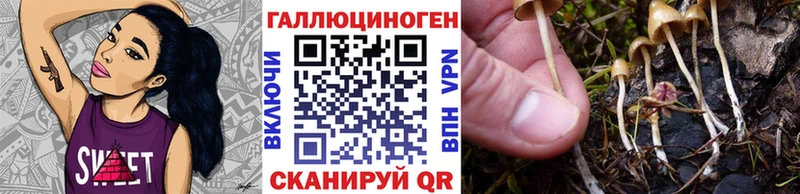 Псилоцибиновые грибы Cubensis  OMG ссылка  Артём 
